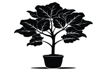 fiddle leaf fig black and white silhouette