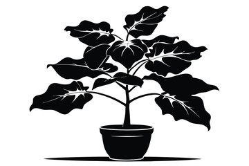 fiddle leaf fig black and white silhouette