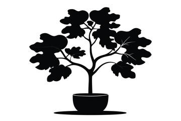 fiddle leaf fig black and white silhouette