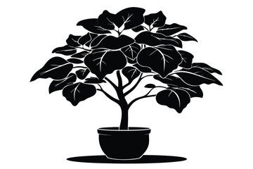 fiddle leaf fig black and white silhouette