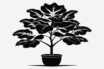 fiddle leaf fig black and white silhouette