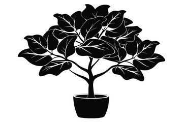 fiddle leaf fig black and white silhouette