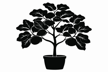fiddle leaf fig black and white silhouette