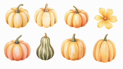 Halloween pumpkin watercolor collection. Rustic halloween pumpkin illustration.