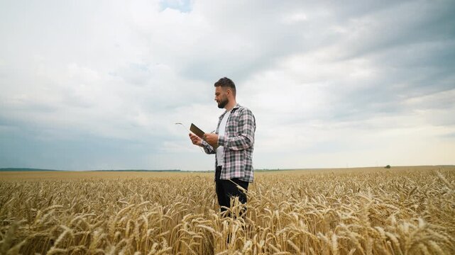 Young agronomist inspecting wheat spikelets and taking notes in a field