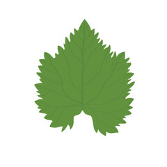 Botanical Herb Leaf – Grape Leaf - Detailed Green Vector Illustration for Nature Designs