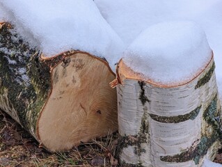 village background with birch firewood under snow 5.