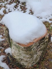 village background with birch firewood under snow 4.