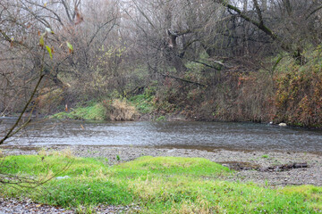 This landscape shot depicts a winding river with murky water flowing through a wild, rural area with a gentle bank partially covered in grass and pebbles.