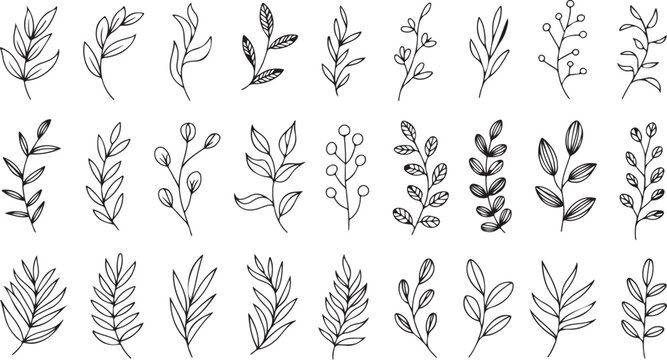 Twenty one hand drawn different leaf and berry branches are showcased with transparent background