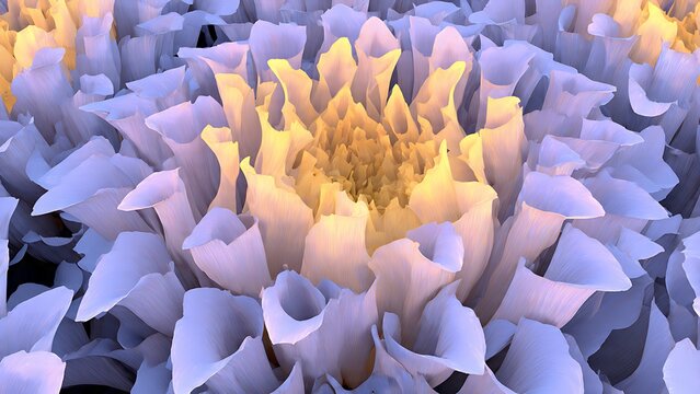 Abstract Sunburst Flower Texture