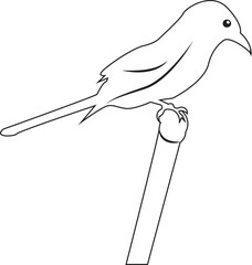 Vector illustration of a bird resting on a stick with simple isolated design