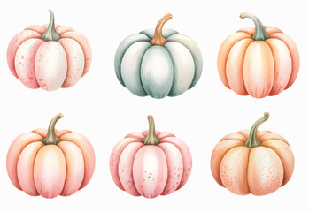 Pastel halloween pumpkins in soft watercolor on white background. Autumn pastel pumpkin collection  botanical detail.