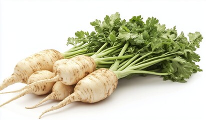 Fresh Parsley and Root Vegetables on a White Background
