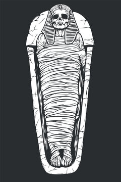 Detailed black and white vector illustration of an ancient Egyptian mummy inside a sarcophagus, ideal for horror-themed designs and educational materials