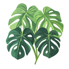 Philodendron, modern 2D flat vector illustration in icon style, isolated on pure white background. © Antoni