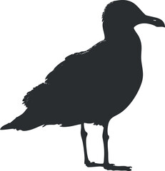 Obraz premium Silhouette vector illustration of a bird standing, ideal for nature-themed designs and wildlife projects