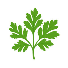 2D flat vector illustration of Parsley Leaf, designed in a clean icon style and isolated on a white background.