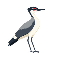 Simple flat 2D vector graphic of Lapwing, modern icon look, displayed on a pure white background.