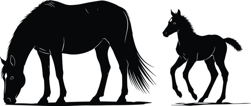 Horse silhouette, foal standing, grazing horse, animal pair, nature scene, black vector, farm life, wildlife icon, flat vector illustration