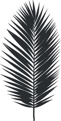 Obraz premium Minimalist black silhouette vector illustration of a palm leaf, ideal for nature-themed design projects and backgrounds