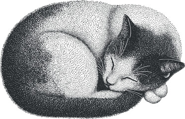 Stylized black and white vector illustration of a sleeping cat curled up for cozy home decor and design projects