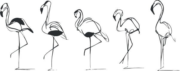 Stylized minimalist vector illustration of a set of flamingos in elegant poses for creative design projects
