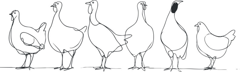 Naklejka premium Stylized line art illustration of a collection of six chickens showcasing different poses and expressions for farm-themed designs.