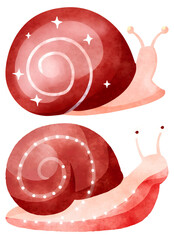 Red and pink snails with sparkling shells on a white background  