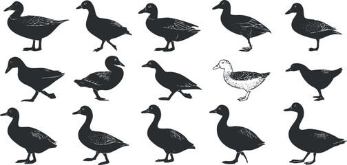 Collection of black and white vector illustrations featuring various ducks in different poses and styles for nature-themed design projects