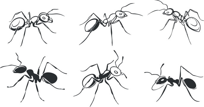 Vector illustration set of six stylized ants in minimalist black and white design for nature-themed graphics and educational materials