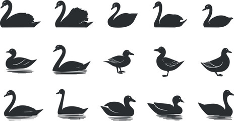 Elegant silhouette vector icon set showcasing various swans and ducks for nature-themed designs and illustrations