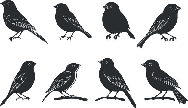 Silhouette vector illustration set of various bird designs for nature-themed projects and graphic design applications