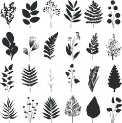 Fototapeta premium Collection of botanical leaf and plant silhouettes in black and white for design use.