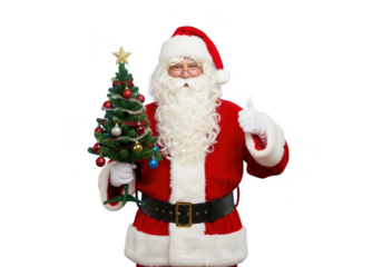 Cheerful santa claus in red suit holding small decorated christmas tree and giving thumbs up gesture isolated on transparent background