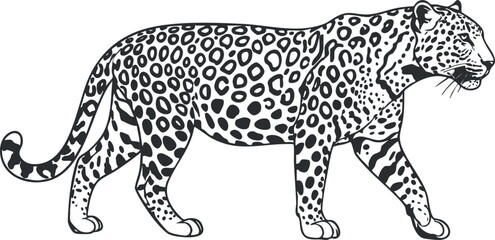 Naklejka premium Stylized black and white vector illustration of a leopard walking, perfect for wildlife-themed designs and branding.