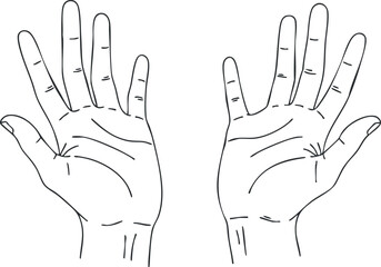 Fototapeta premium Outline vector illustration of open hands showing various gestures for communication and artistic expression