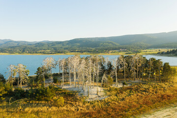 Beautiful authentic landscape, aerial view from a drone. Authentic landscape birds sit on dried trees on the island. Batak reservoir in the Rhodope Mountains
