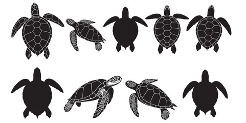 Fototapeta premium Sea turtle silhouette collection with diverse poses and angles for design