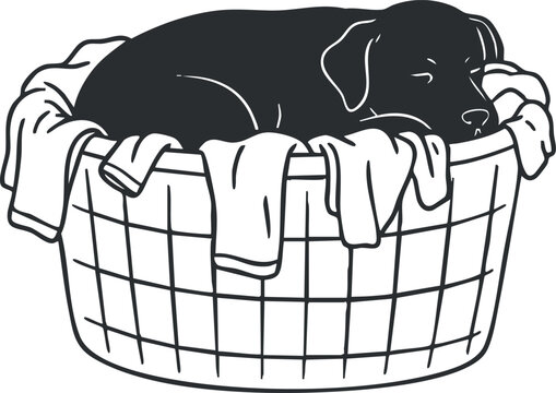 Cute black and white vector illustration of a dog sleeping in a laundry basket, ideal for pet-related designs