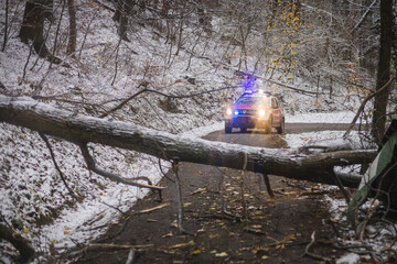 A snowy forest road is blocked by a fallen tree, while an emergency vehicle with flashing blue lights stops ahead. Winter conditions, broken branches, and icy terrain create a scene of obstruction and © Anze