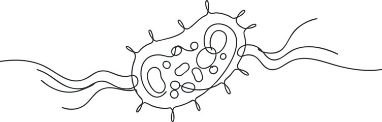 Minimalist line art illustration of a bacteria cell, suitable for educational and scientific design projects