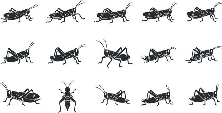 Vector icon set featuring various poses of grasshoppers in a minimalist black and white style for educational or design purposes
