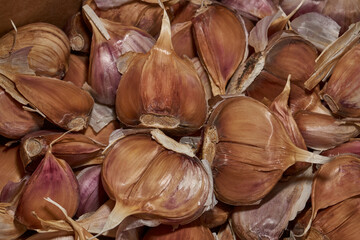 Natural close-up of garlic cloves prepared for late-autumn planting. Organic texture and realistic agricultural background. Macro photograph of garlic cloves in dry skin.