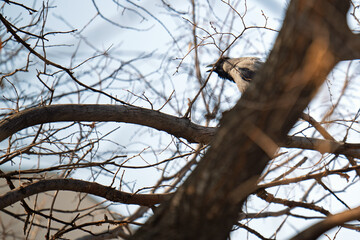 A bird is perched on a tree branch