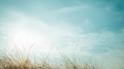 minimalistic bright outdoor landscape, open field with soft breeze, gentle sunlight, clean blue sky, symbol of clean air and healthy breathing, airy