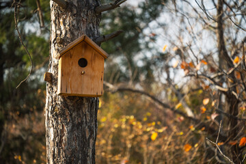 A birdhouse is sitting on a tree branch