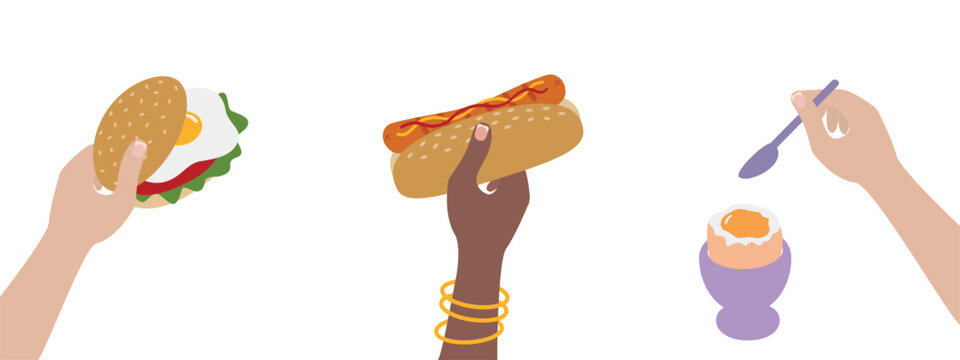 Womens Hands Different Nationalities hold Sandwich Hot dog and Spoon near Soft Boiled Egg in Eggcup. Isolated Vector illustration Food Related content Delivery or Promo Menu Cards, price tag, leaflets