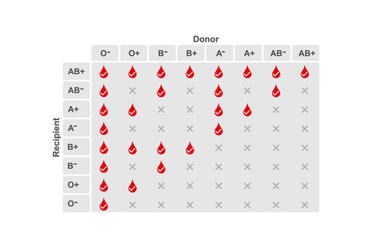 Abo Blood Types Compatibility Science Design. Vector Illustration.