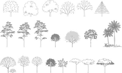 Fototapeta premium A comprehensive vector line art set of 23 architectural trees in elevation view, featuring diverse species from conifers to palms, with and without leaves.